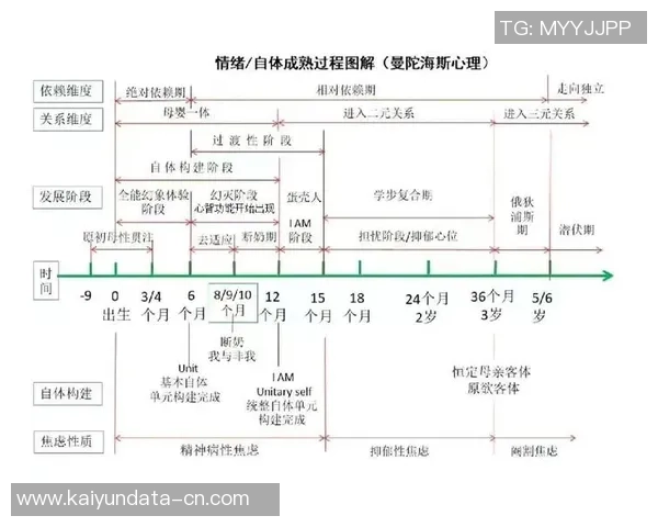新秀与年轻球员的崛起：未来篮球的希望与挑战分析